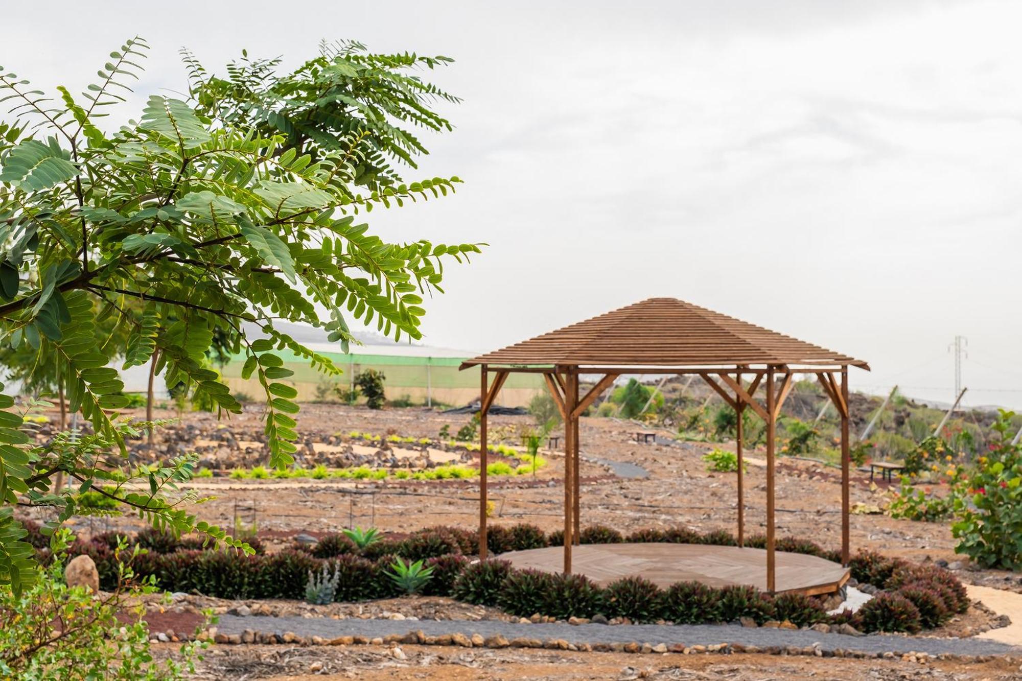 Tenerife Healing Garden Guía de Isora Εξωτερικό φωτογραφία