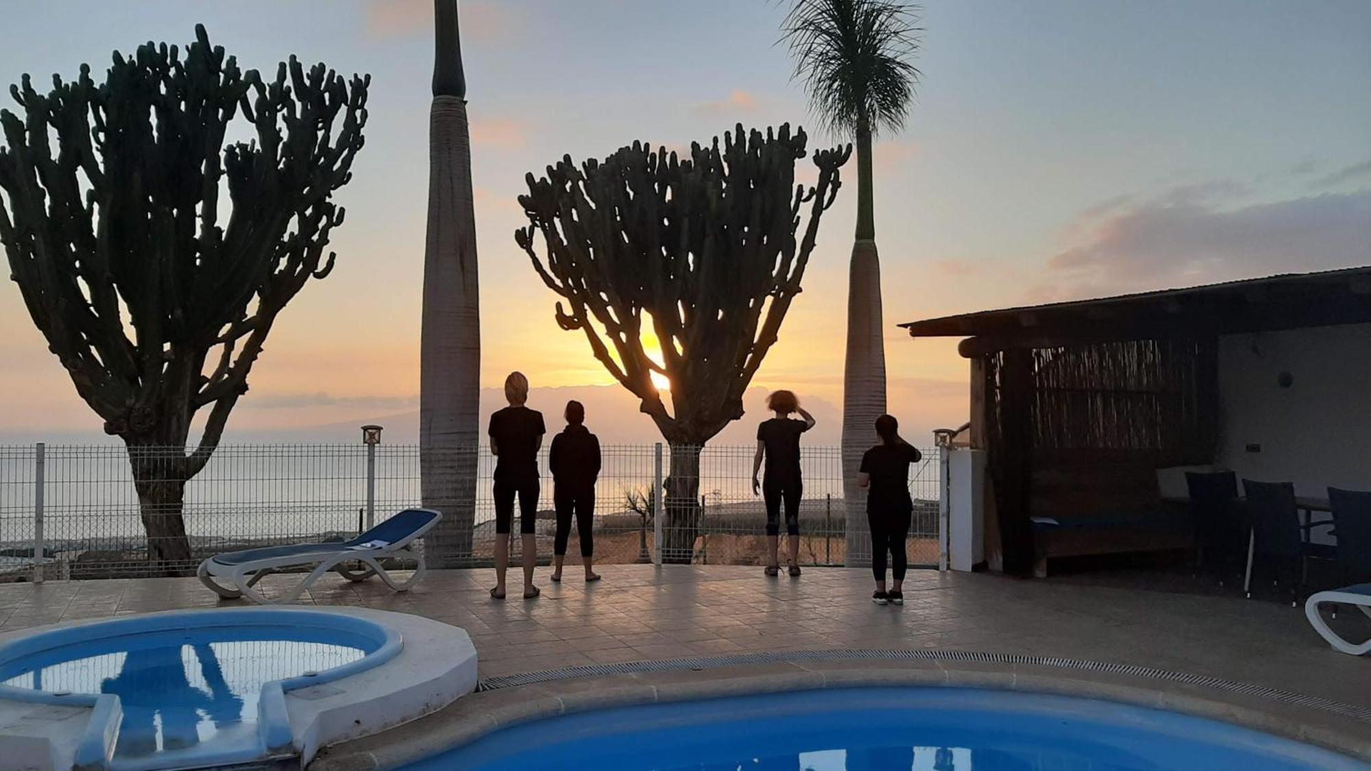 Tenerife Healing Garden Guía de Isora Εξωτερικό φωτογραφία