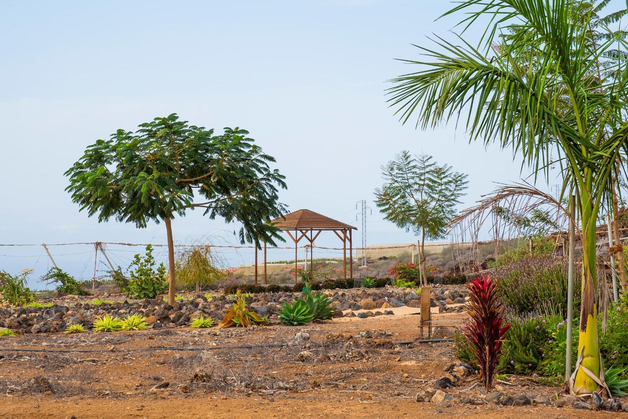 Tenerife Healing Garden Guía de Isora Εξωτερικό φωτογραφία
