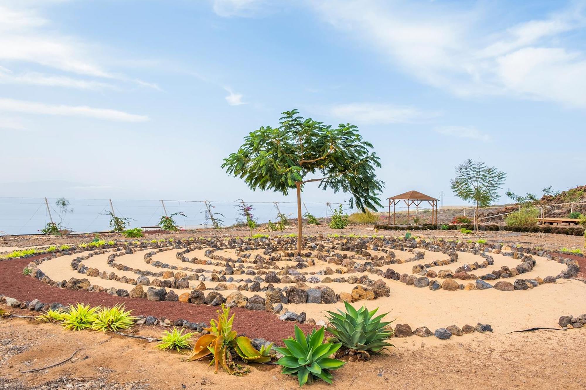 Tenerife Healing Garden Guía de Isora Εξωτερικό φωτογραφία