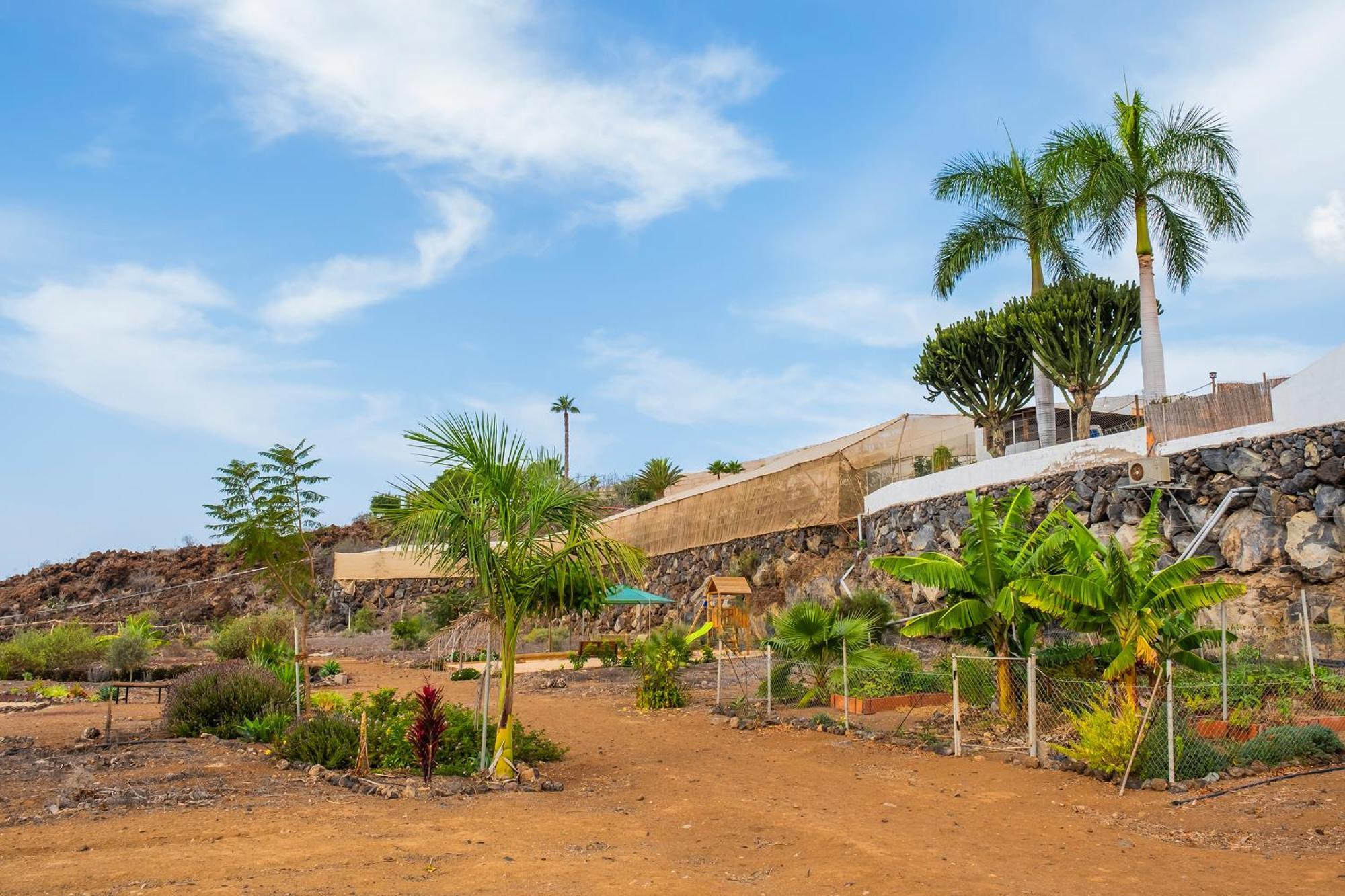 Tenerife Healing Garden Guía de Isora Εξωτερικό φωτογραφία
