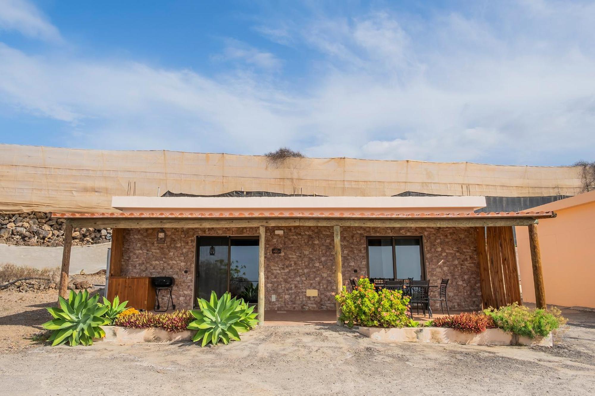 Tenerife Healing Garden Guía de Isora Εξωτερικό φωτογραφία