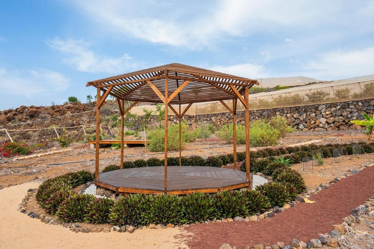 Tenerife Healing Garden Guía de Isora Εξωτερικό φωτογραφία
