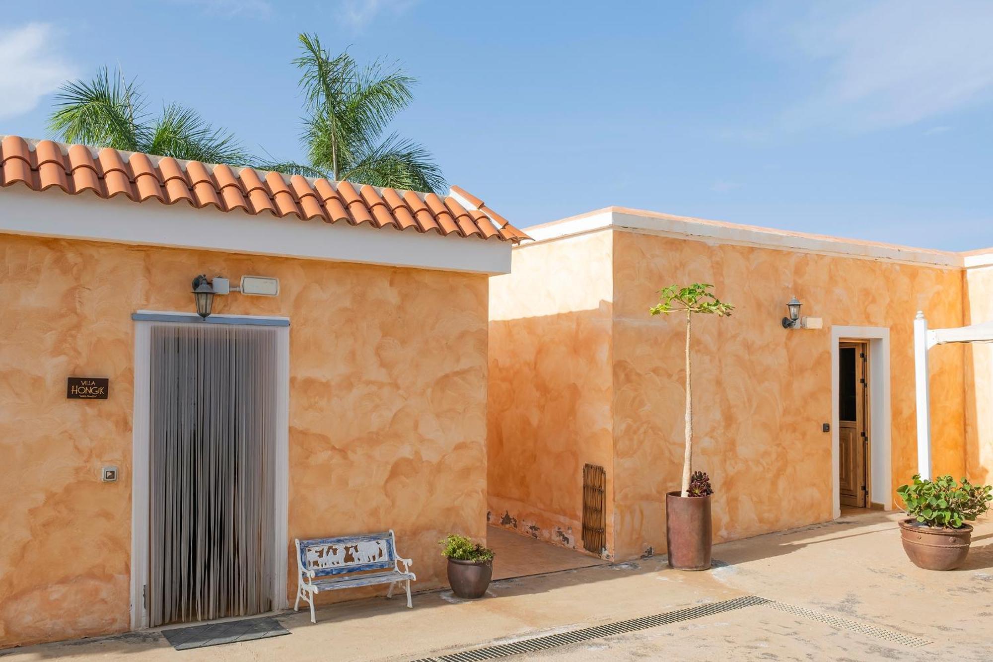 Tenerife Healing Garden Guía de Isora Εξωτερικό φωτογραφία